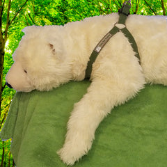 Polar Bear Protector green hemp step-in harness