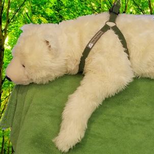 Polar Bear Protector green hemp harness shown on polar bear