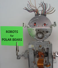 Robots for Polar Bears:  Botwan, First to Rise