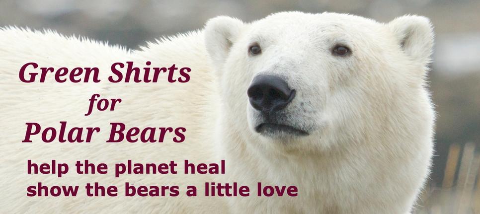 Green Shirts for Polar Bears are certified 100% organic cotton printed with water-based ink in a US plant powered by wind.